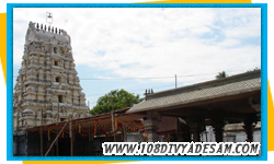 Navagraha Tour Packages